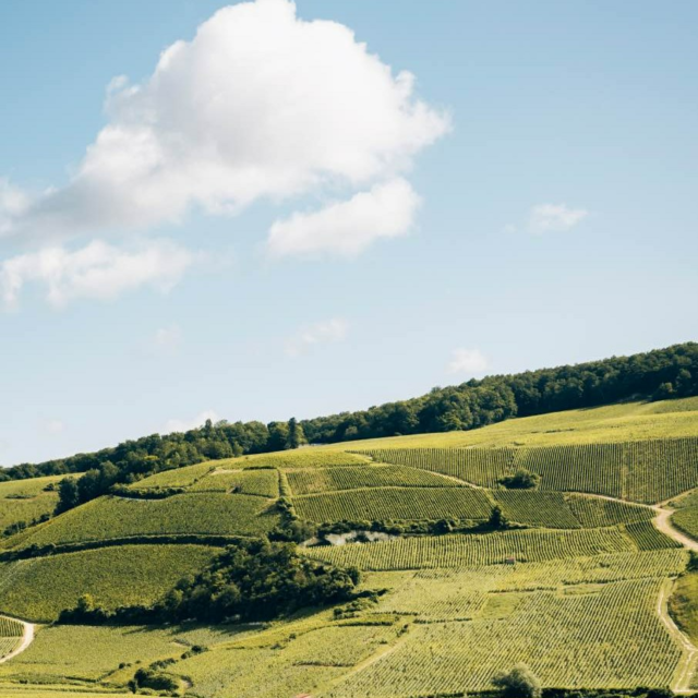 🍷 Dégustation avec la Maison Lallier - Samedi 21 Décembre ! 🍇

👉11ème instant dégustation ! 

Pour finir en beauté, venez déguster des produits d'exception, les Champagnes de la Maison Lallier.

📅 Quand : Samedi 21 Décembre
🕐 9h30-19h15
📍 Où : La Cave Cholet
🎟️ Dégustation gratuite et ouverte à tous.

Avec passion et savoir-faire, leurs champagnes capturent toute l’élégance et la finesse des vins de Champagne.

🍷 À demain! 🍷

#25Ansdepassion #degustation #champagne #cholet #cavisteindependant 
#choletmaville